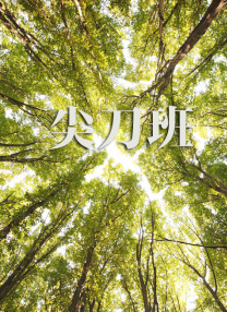 韩国特黄色免费